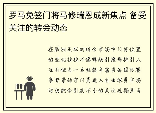 罗马免签门将马修瑞恩成新焦点 备受关注的转会动态